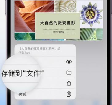 雅安apple维修中心分享iPhone文件应用中存储和找到下载文件