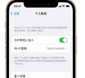 雅安apple服务站点分享iPhone上个人热点丢失了怎么办 