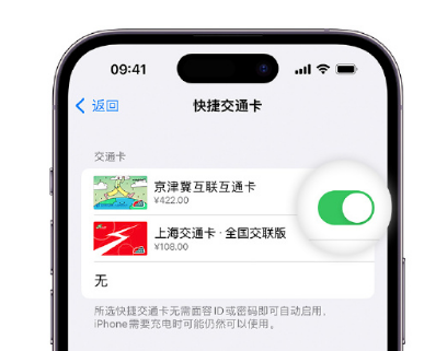 雅安apple维修点分享iPhone上更换Apple Pay快捷交通卡手绘卡面 