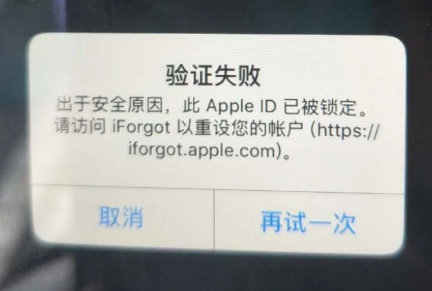 雅安iPhone维修分享iPhone上正常登录或使用AppleID怎么办 