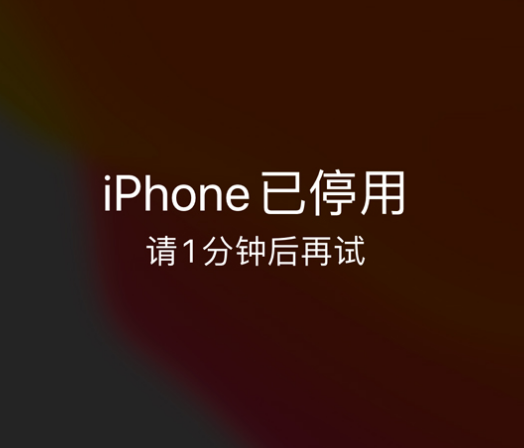 雅安苹果手机维修分享:iPhone 显示“不可用”或“已停用”怎么办？还能保留数据吗？ 