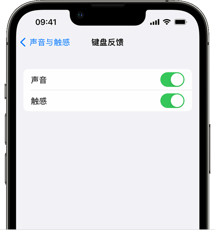 雅安苹果14维修店分享如何在 iPhone 14 机型中使用触感键盘 