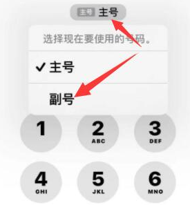 雅安苹果14维修店分享iPhone 14 Pro Max使用副卡打电话的方法 