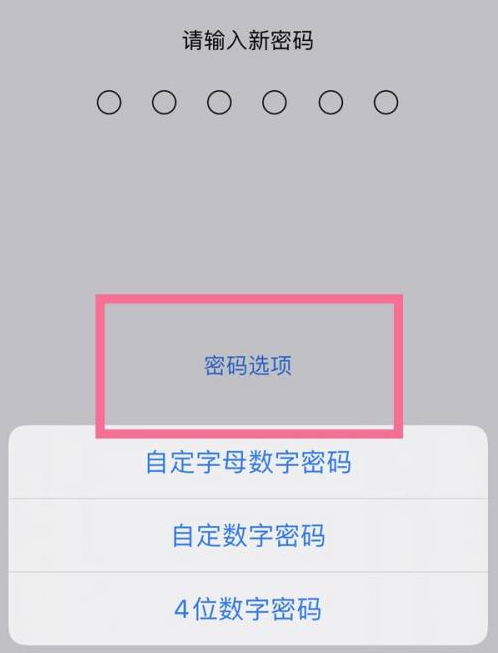 雅安苹果14维修分享iPhone 14plus设置密码的方法 