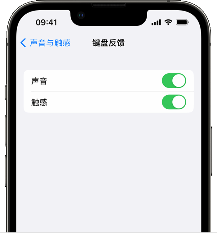 雅安苹果14维修分享iPhone 14 系列机型如何开启键盘声音或触感反馈 