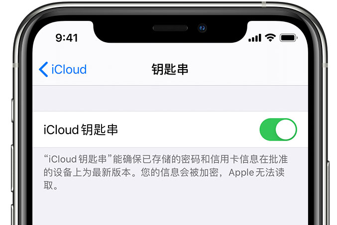 雅安苹果手机维修分享在 iPhone 上开启 iCloud 钥匙串之后会储存哪些信息 