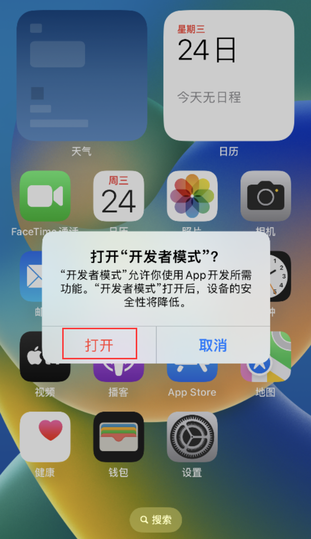 雅安苹果手机维修分享如何打开开发者模式 
