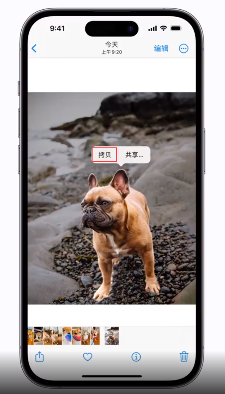 雅安苹果手机维修分享 iOS 16 自带一键抠图功能 