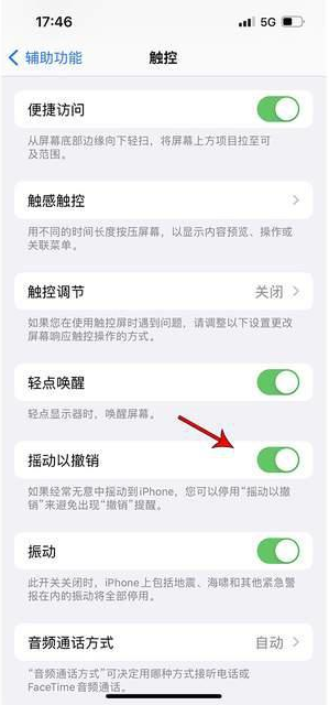 雅安苹果手机维修分享iPhone手机如何设置摇一摇删除文字 