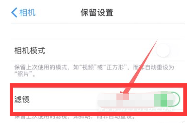 雅安苹果13维修分享iPhone13拍照有绿点是怎么回事 