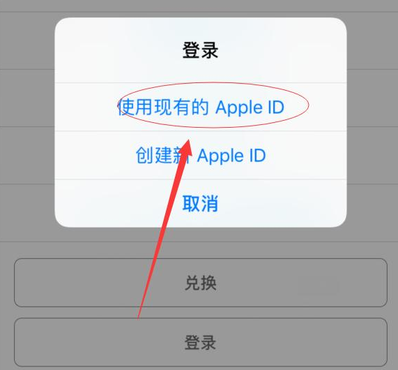 雅安苹果手机维修分享两台iPhone设备可以同时登录一个Apple ID吗 