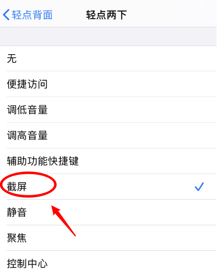 雅安苹果手机维修分享iPhone12如何启用双击截屏 