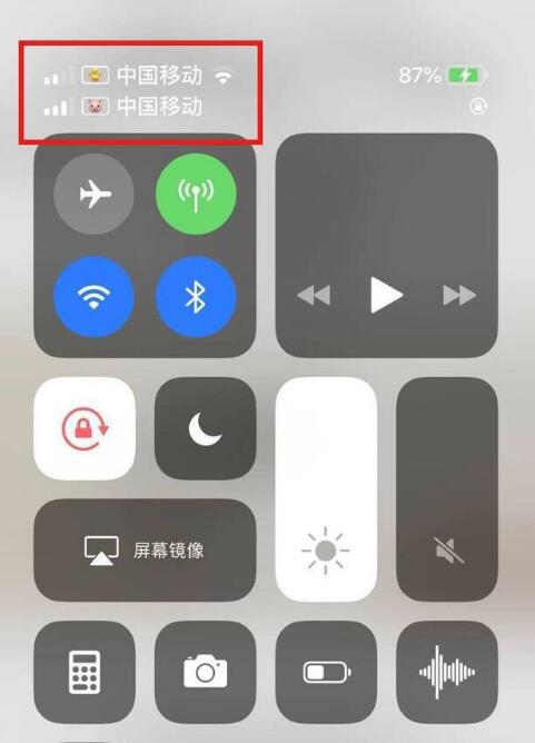 雅安苹果手机维修分享为 iPhone 12 双卡设置标签 