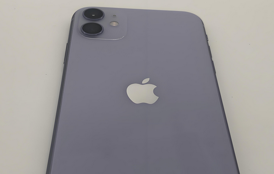 雅安苹果11系统维修分享iPhone11手机系统崩溃无法开机如何解决