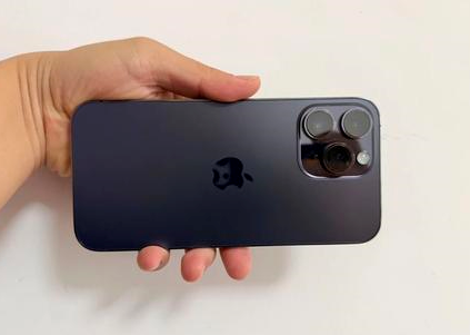 雅安苹果维修点分享iPhone 14 Pro Max黑屏少见故障盘点 